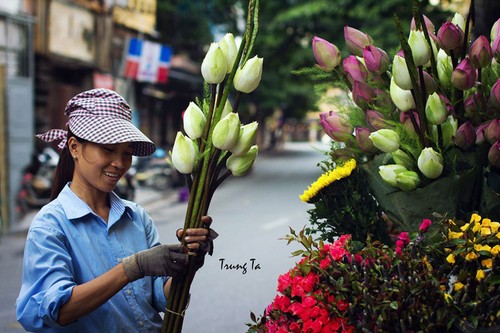 Temporada de flores de loto en Hanoi - ảnh 11